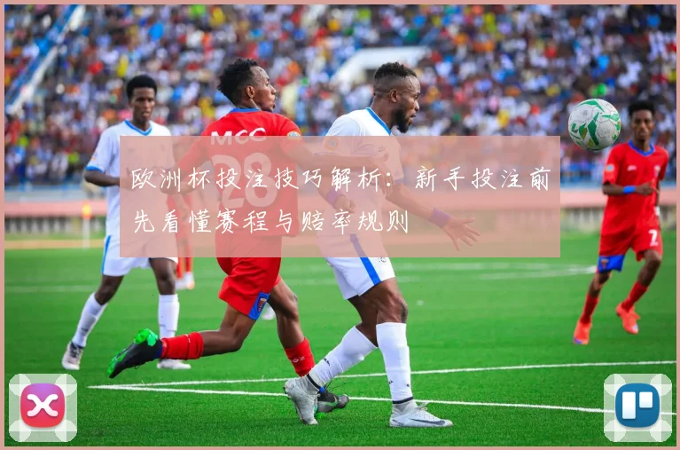 欧洲杯投注技巧解析:新手投注前先看懂赛程与赔率规则