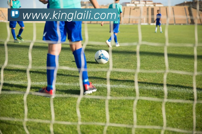 在线买世界杯平台平台生态图